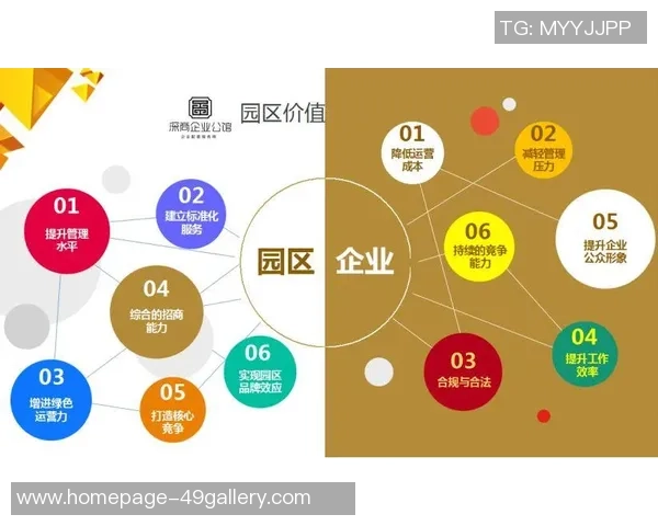 成都排球队节奏对比分析：战术风格与比赛表现的深度探讨